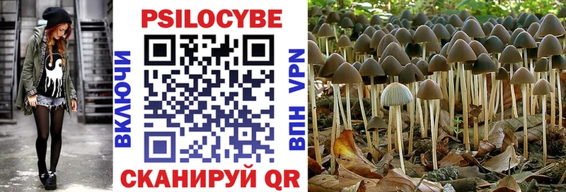 Псилоцибиновые грибы Magic Shrooms  купить наркотик  Полевской 
